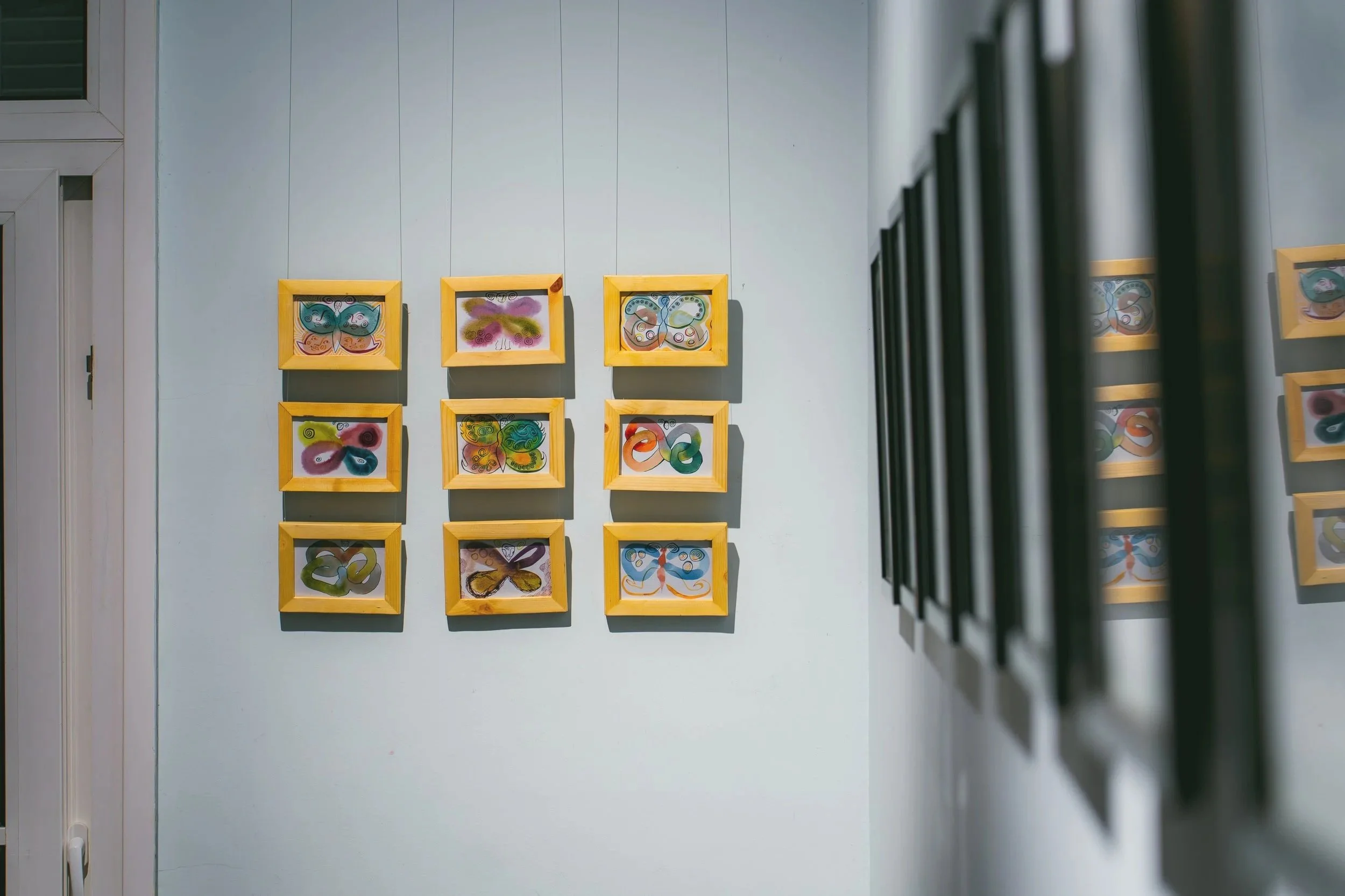 Questioning the entomological and loverly urge to put butterflies in boxes, 2025