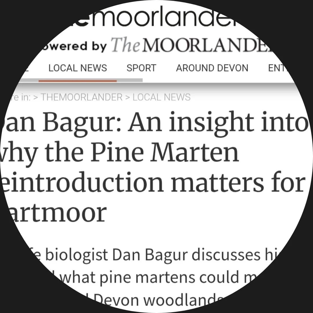 Dan Bagur Author Interview Moorlander