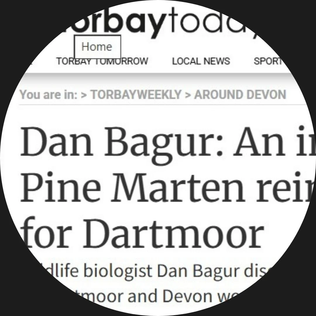 Dan Bagur Author Interview Torbay Today