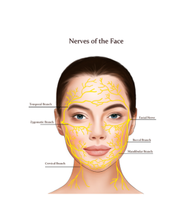 Revitalized Med Spa  Botox (3).png