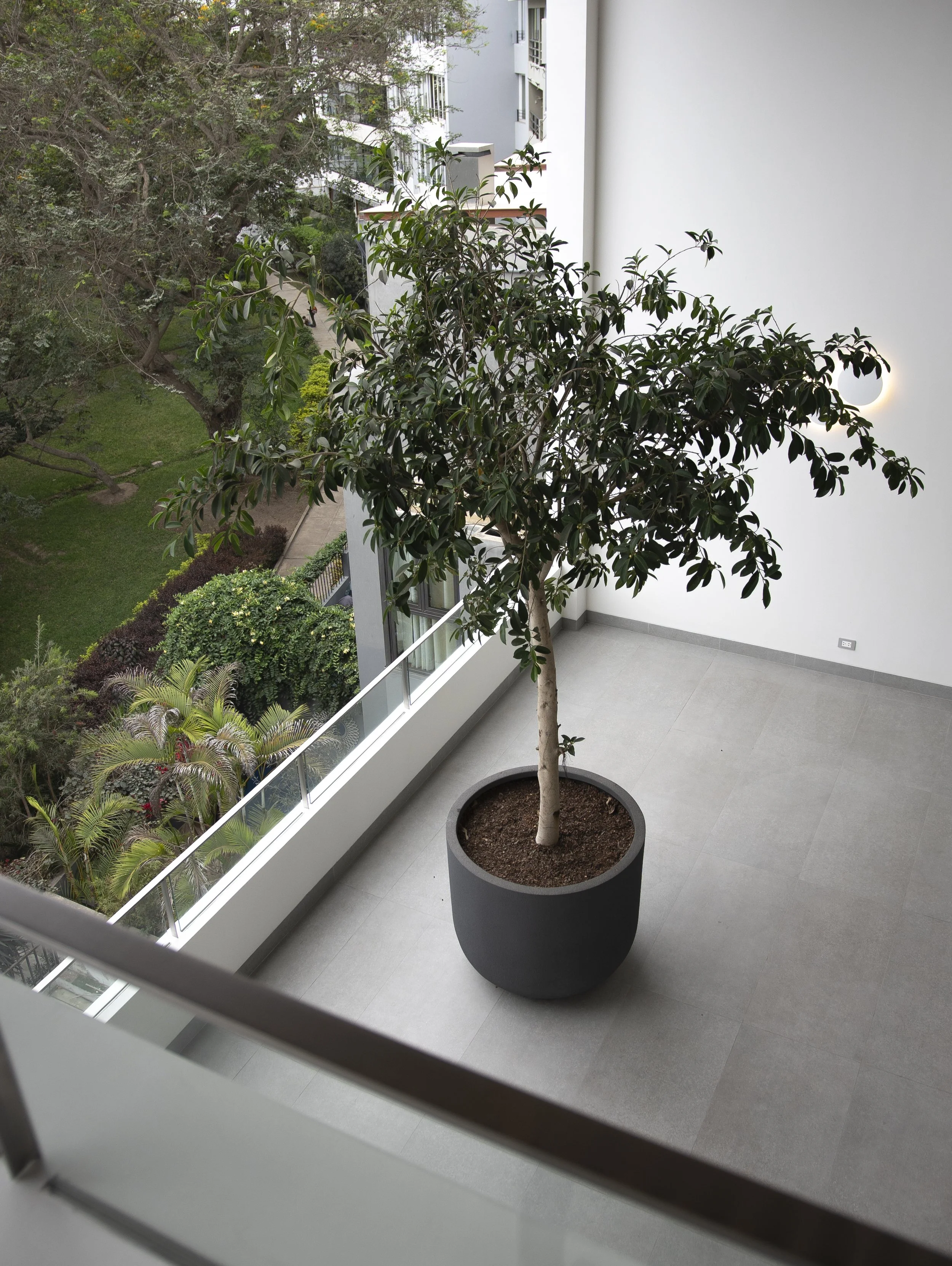 CASA ALFREDO SALAZAR16.jpg