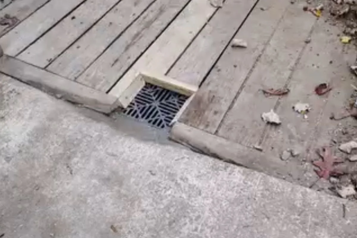 Yard drain and catch basin installed to manage stormwater runoff in Asheville, North Carolina.