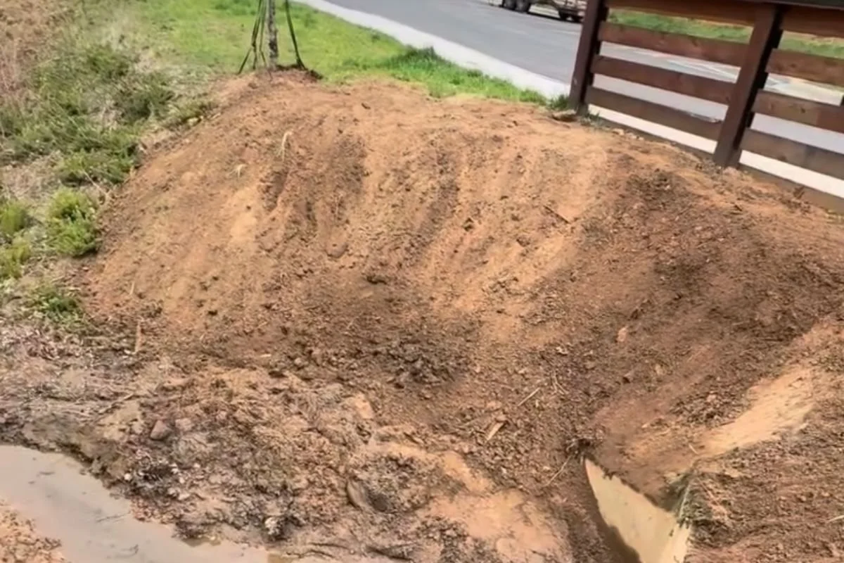 Erosion problem on steep hillside property in Western North Carolina
