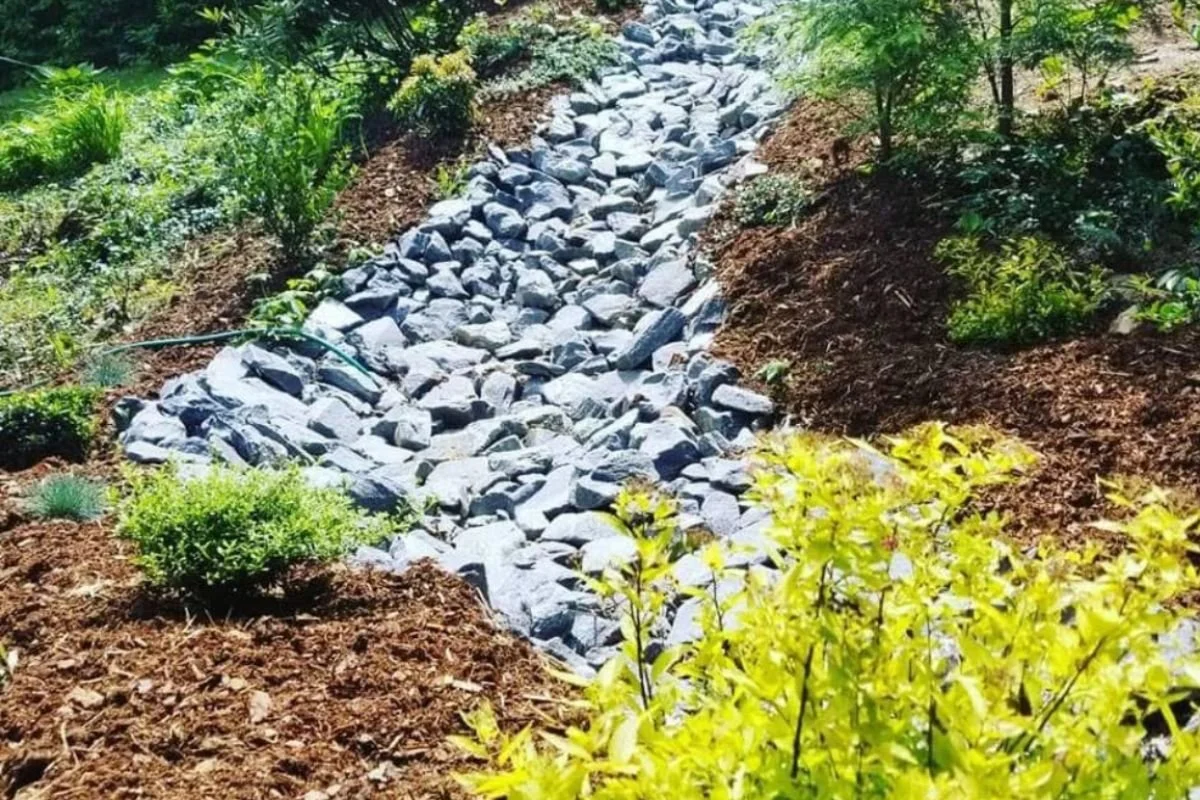 Yard drain and catch basin installed to manage stormwater runoff in Black Mountain, North Carolina.