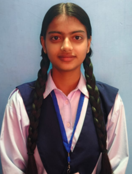Noida Deaf Society Success Stories