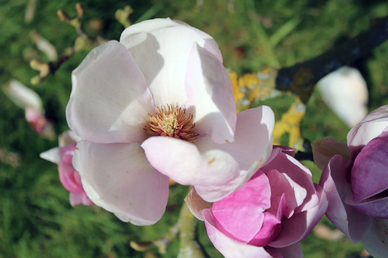 Spring promises