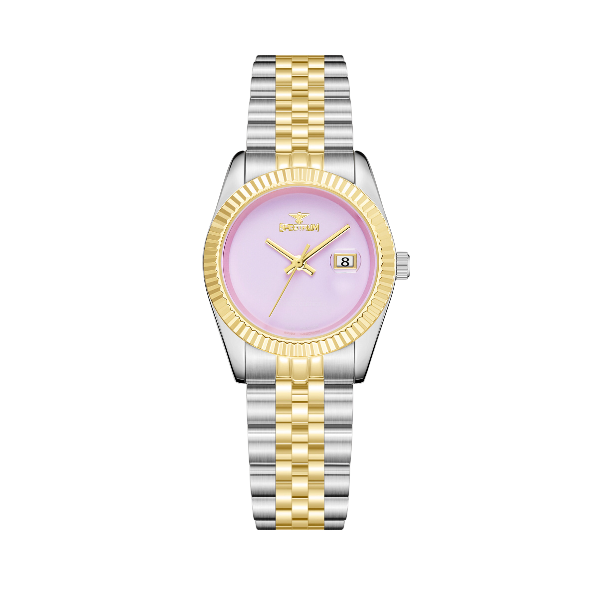 Stainless Steel WOMEN's Two Tone Gold Watch - S17101L-7