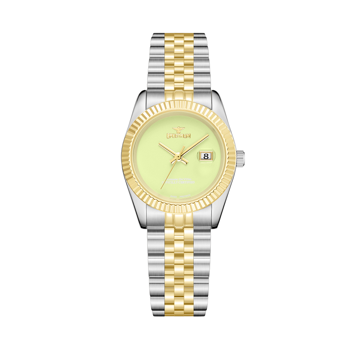Stainless Steel WOMEN's Two Tone Gold Watch - S17101L-6