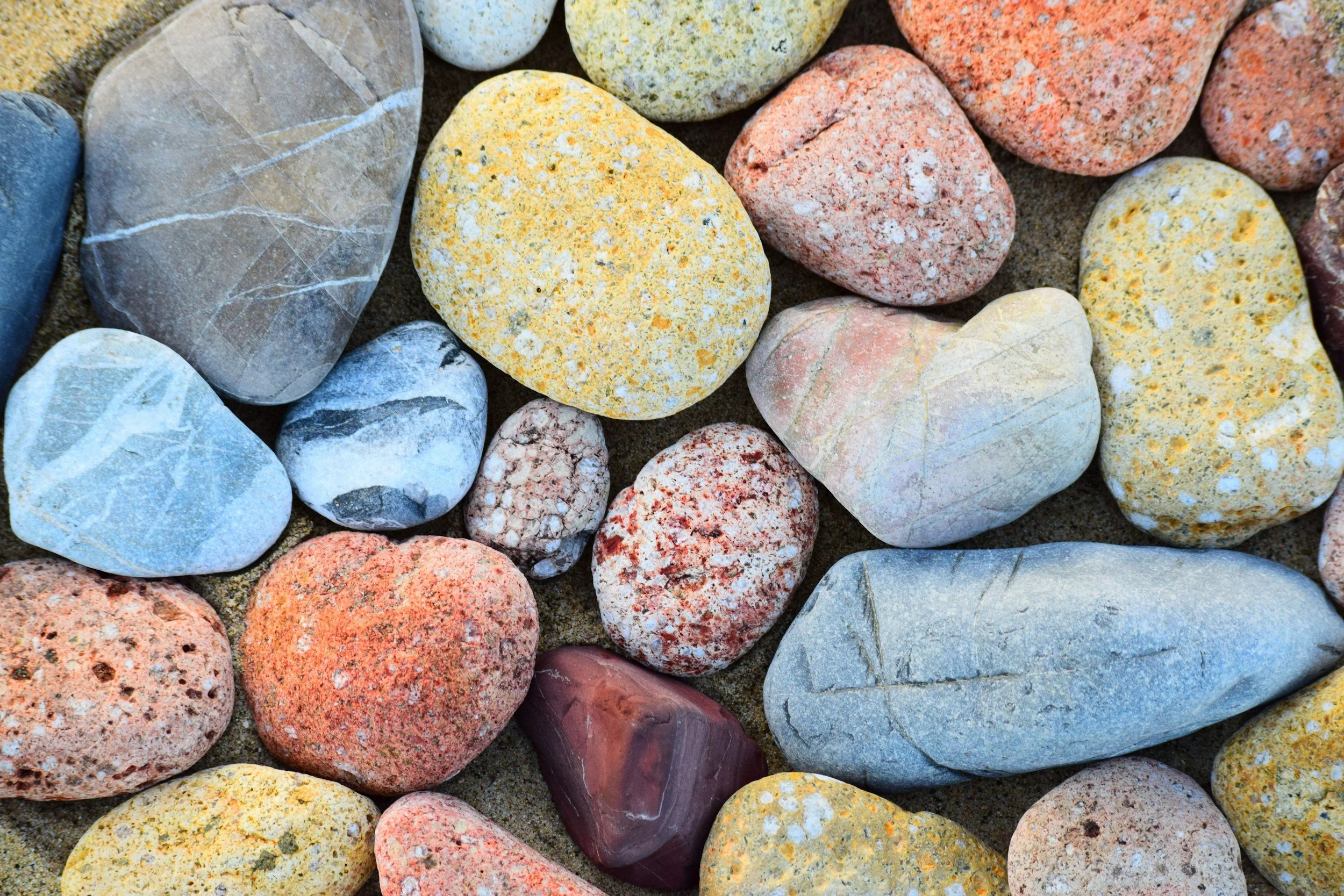 unsplash-image-eqkOHtyWmnM.jpg
