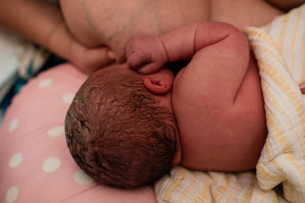 GatherBirthCooperative20250509143929.jpg