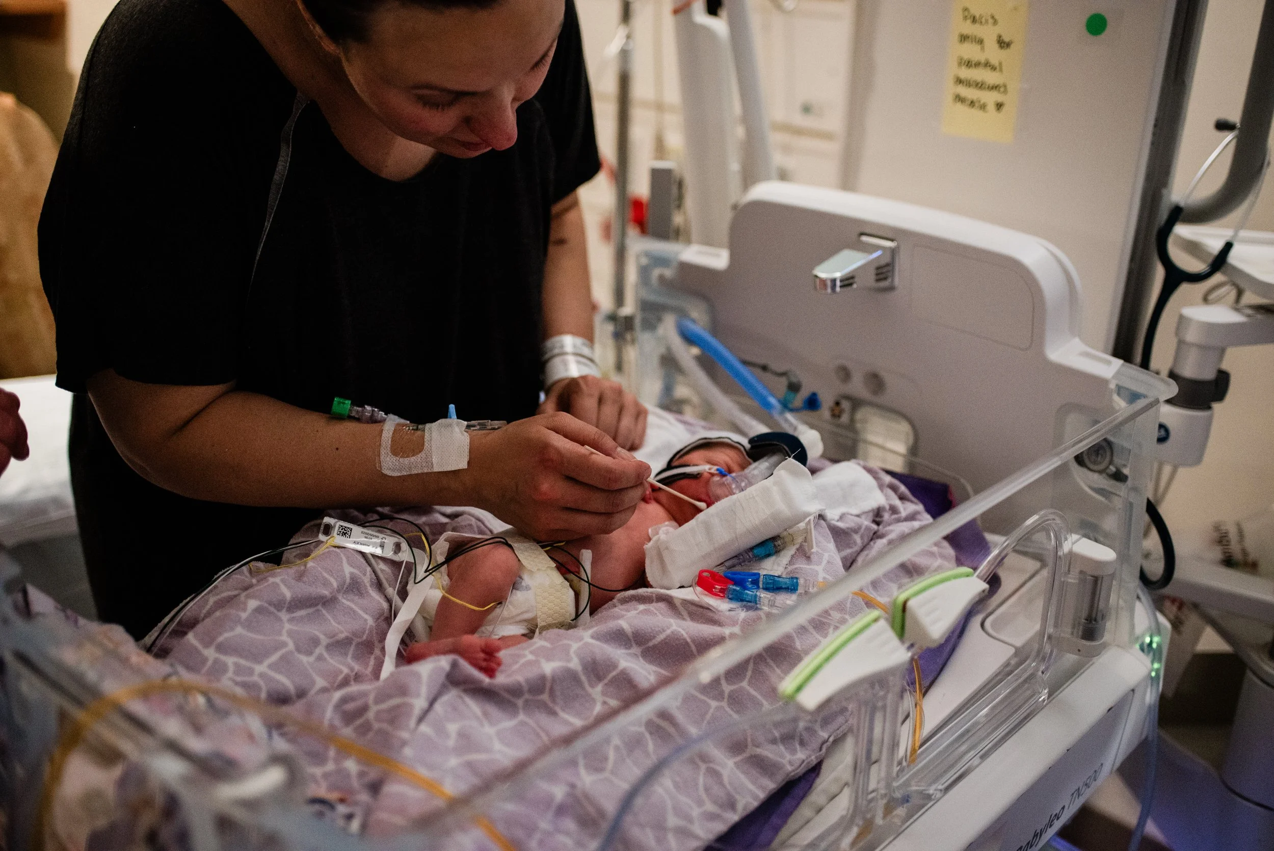 GatherBirthCooperative20250505133512.jpg