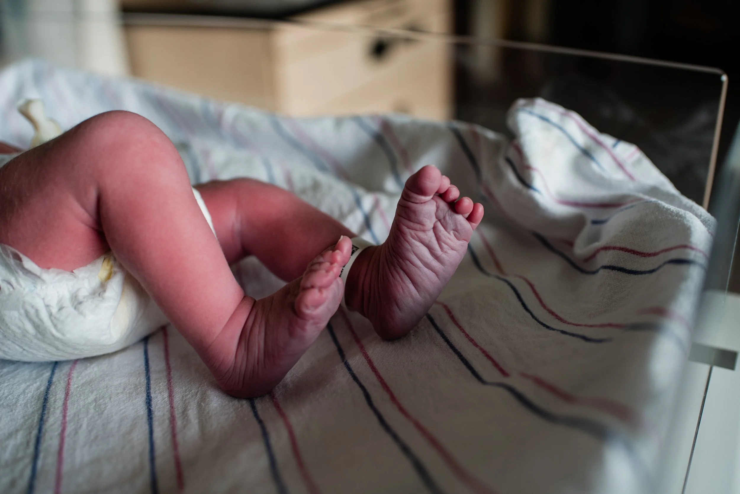 GatherBirthCooperative20250822170523.jpg