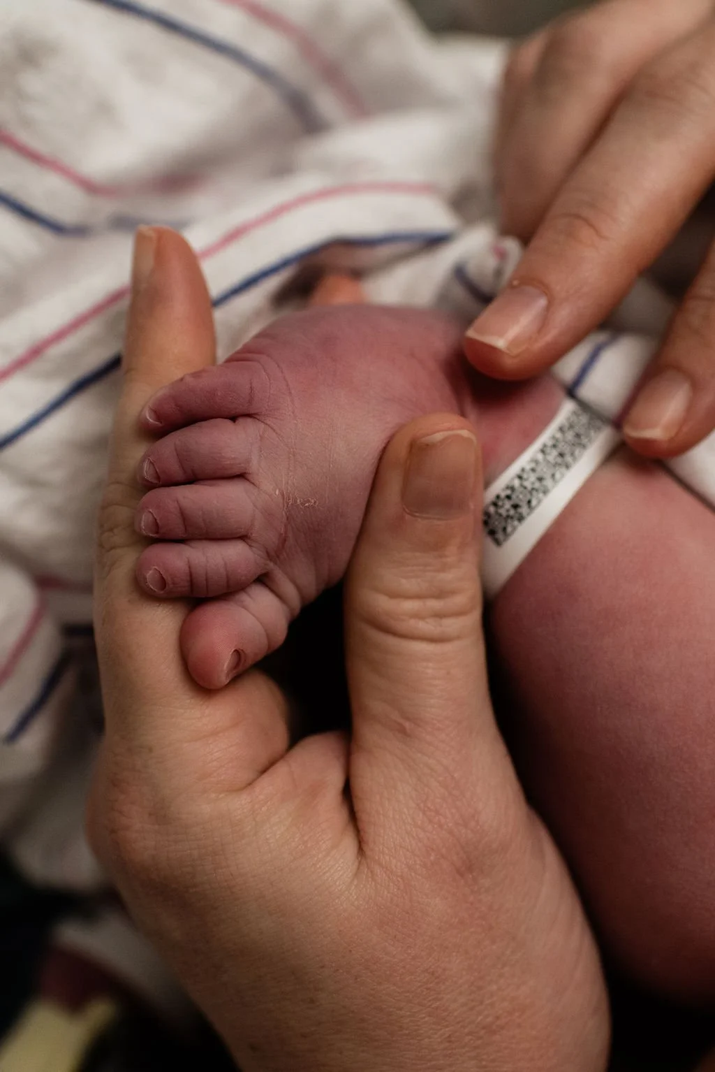 GatherBirthCooperative20251112111939.jpg