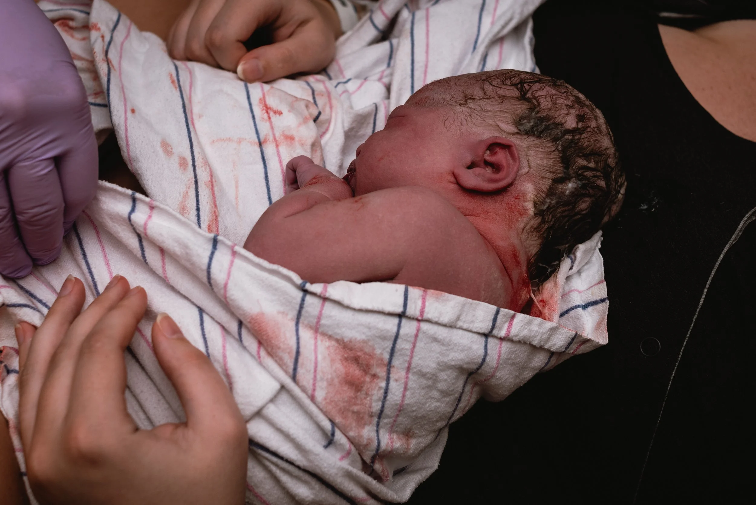 Gather Birth Cooperative - 02.21.26-10.jpg