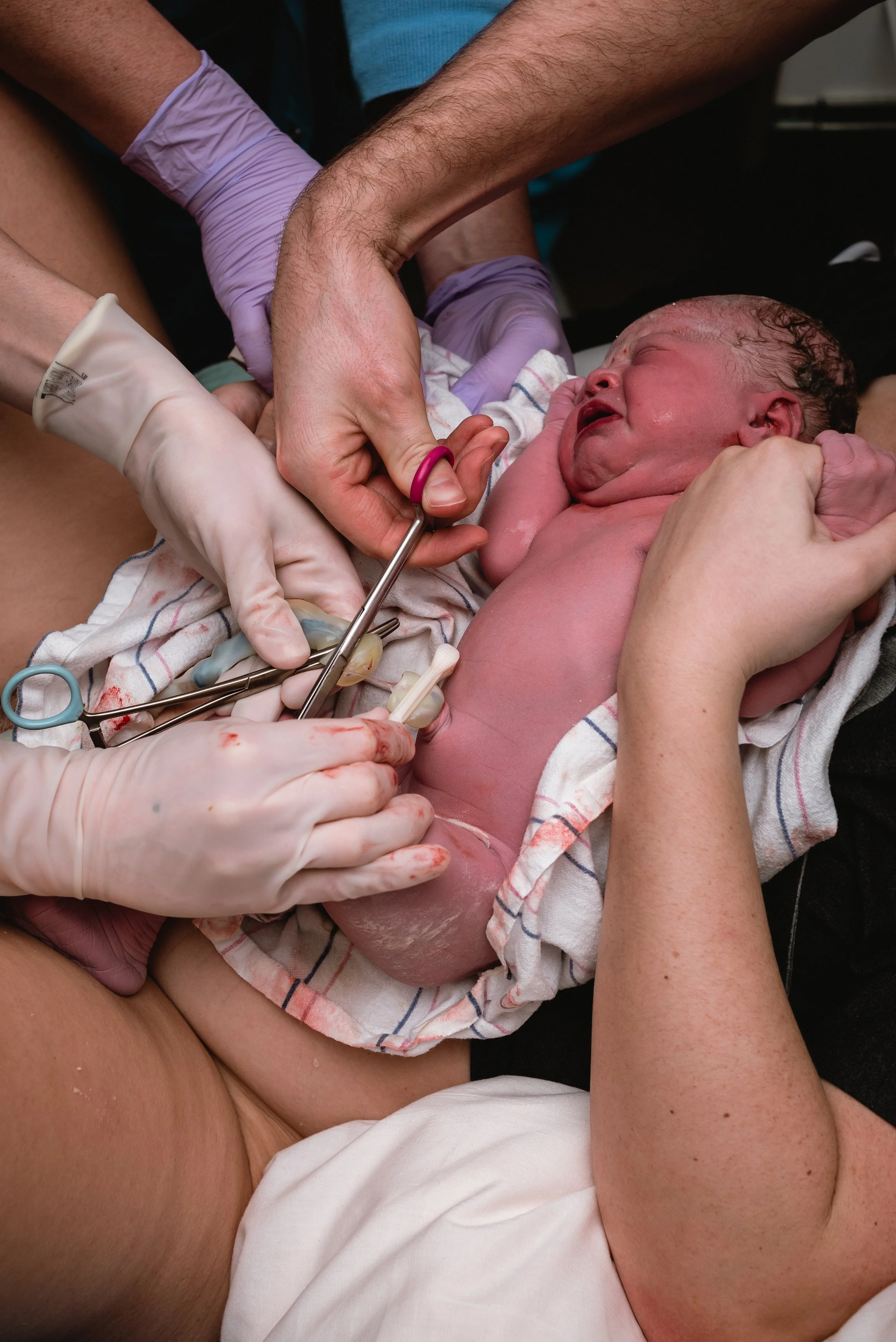 Gather Birth Cooperative - 02.21.26-11.jpg