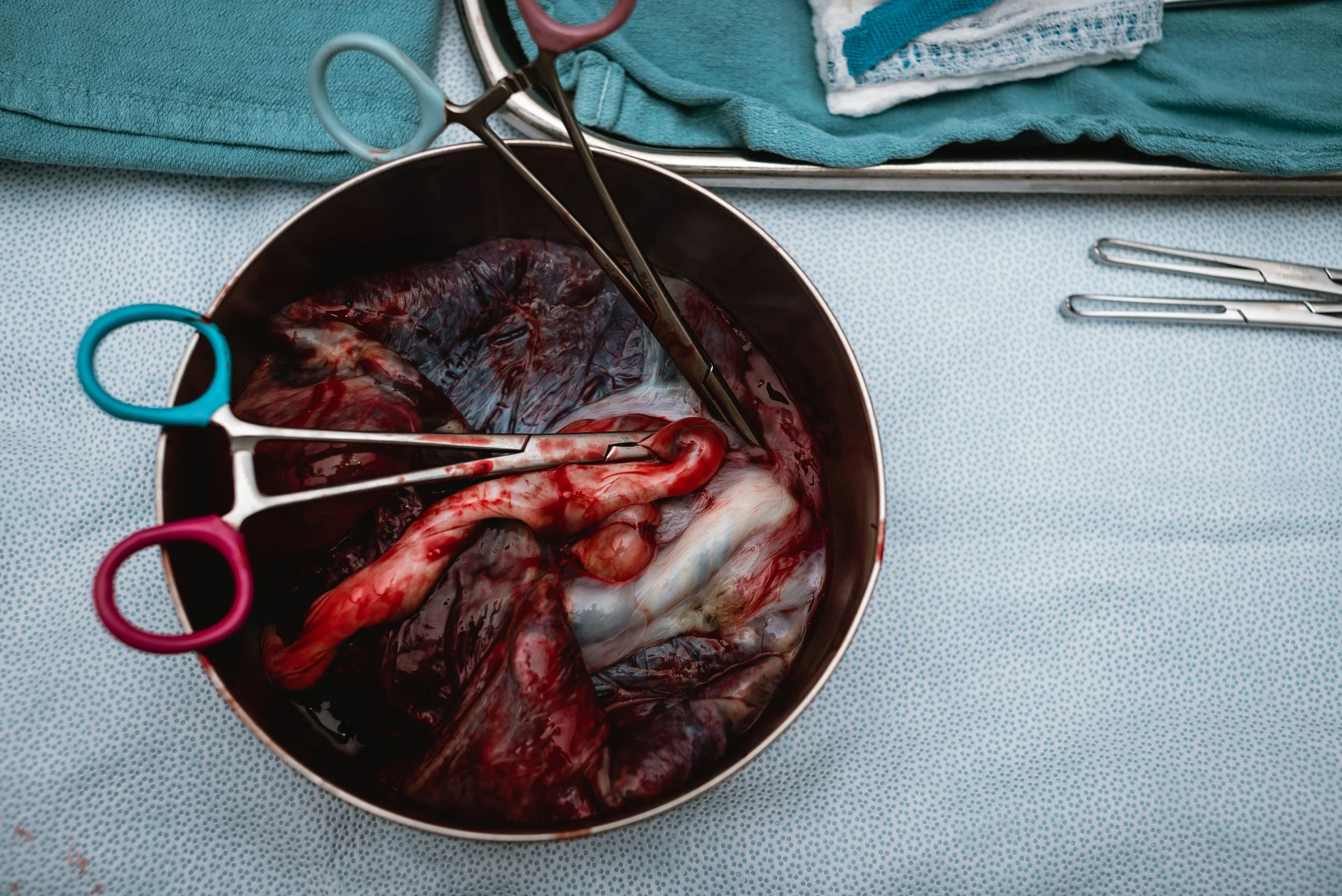 Gather Birth Cooperative - 02.21.26-14.jpg