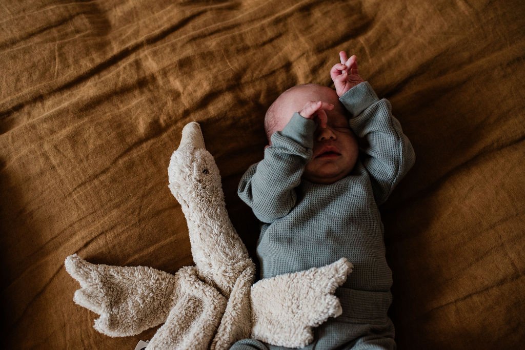 GatherBirthCooperative20260213102826 (1).jpg