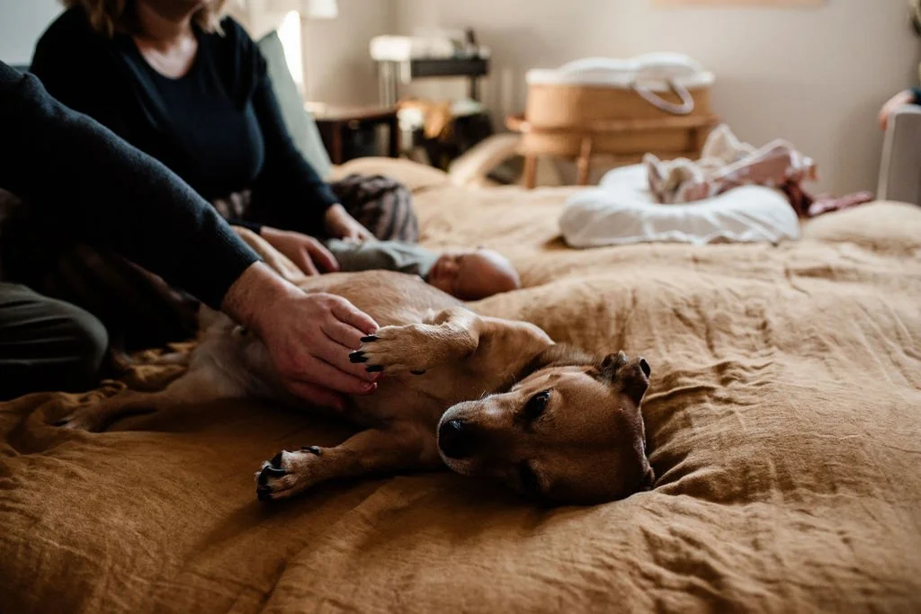 GatherBirthCooperative20260213102712 (1).jpg