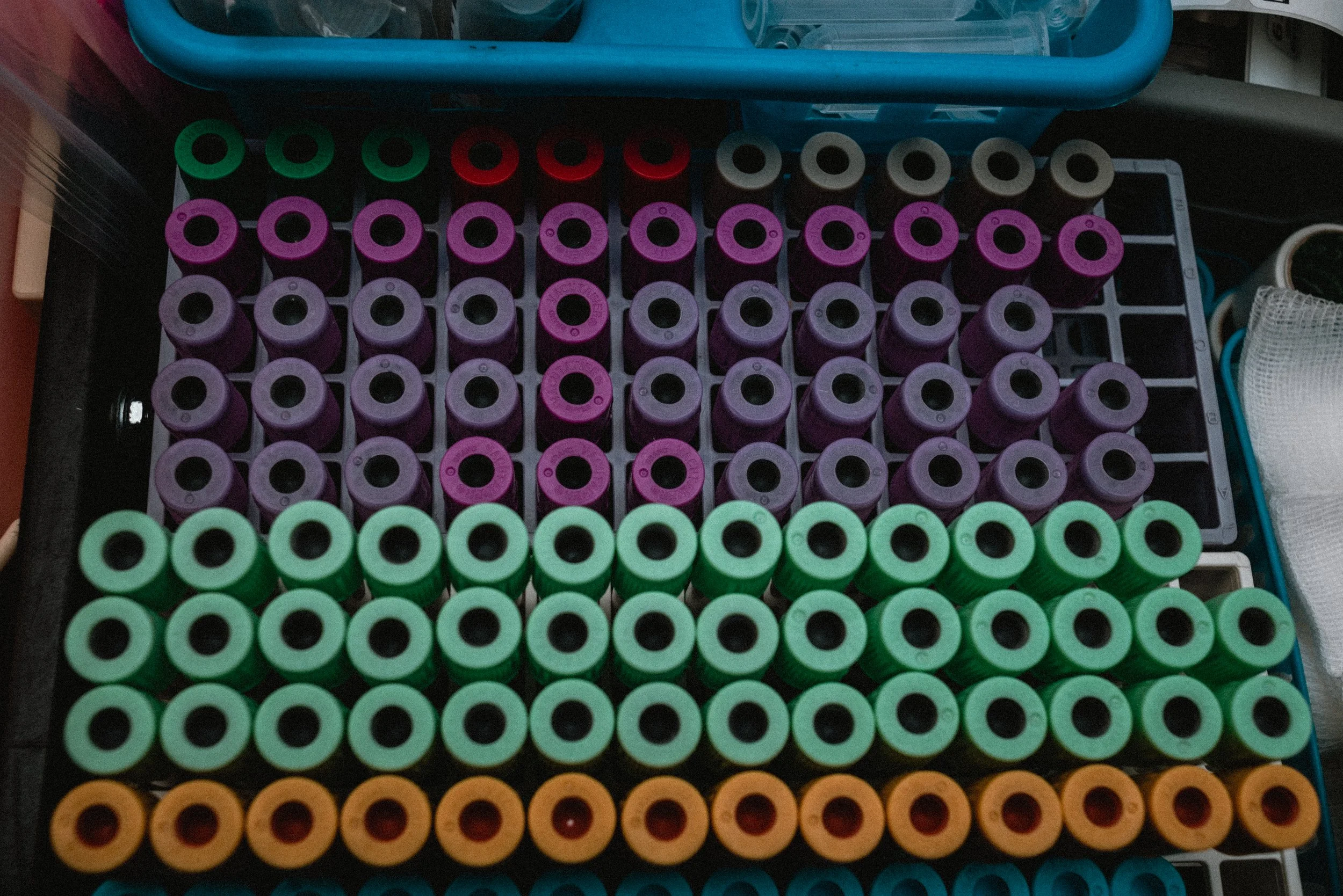  An overhead, close-up image of the multi-colored blood vials in a tray. There are several lines of vials with green, orange, purple, and magenta lids, like a medical honeycomb.  