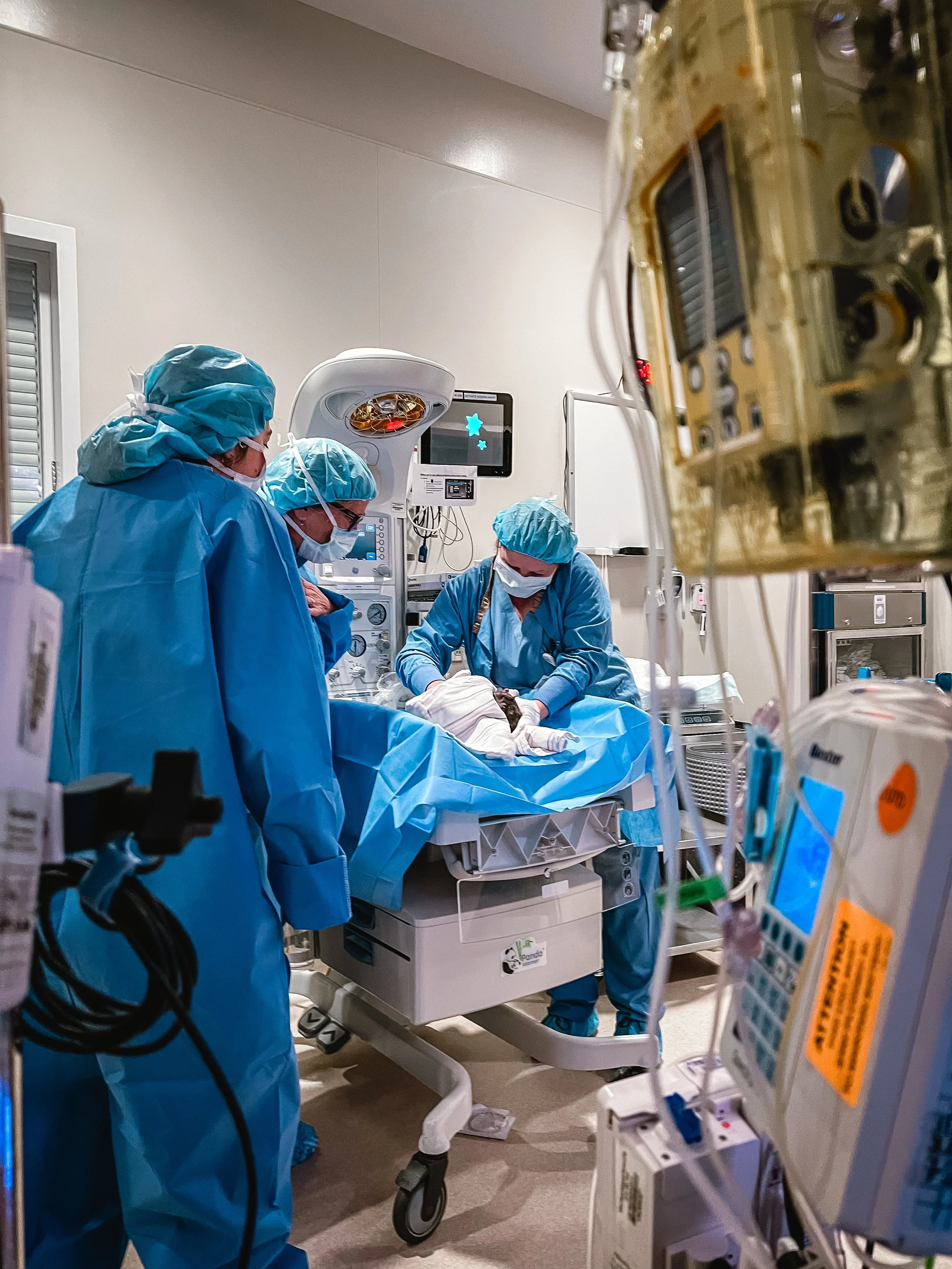  An infant warmer is at the center of the image. Beatrice is wrapped in blankets in the warmer, a nurse in surgical gear gently wiping her off. Rose and Meg look down at the warmer with awe at Beatrice. Blurry surgical pumps frame the right side of t