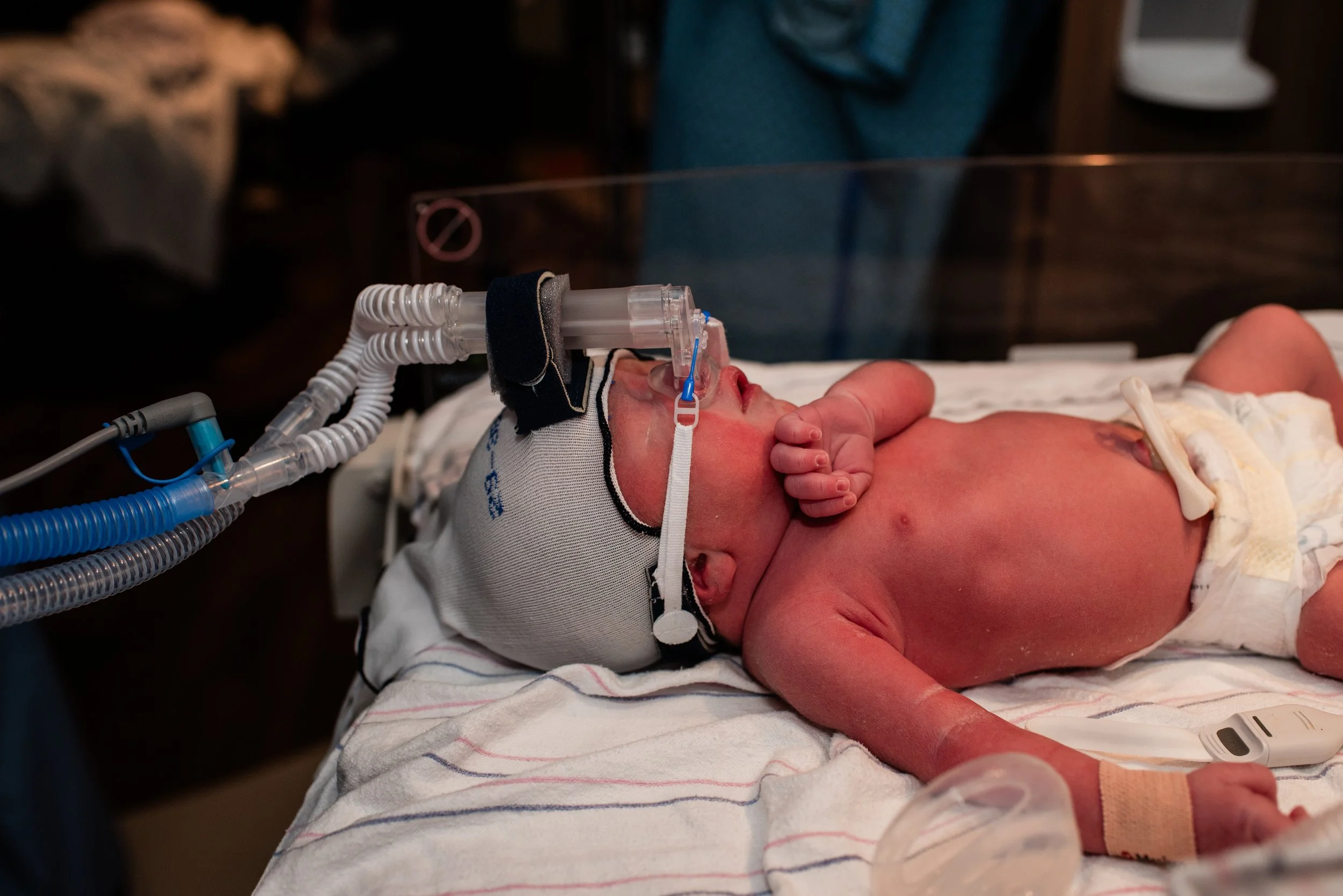GatherBirthCooperative20260423182828.jpg