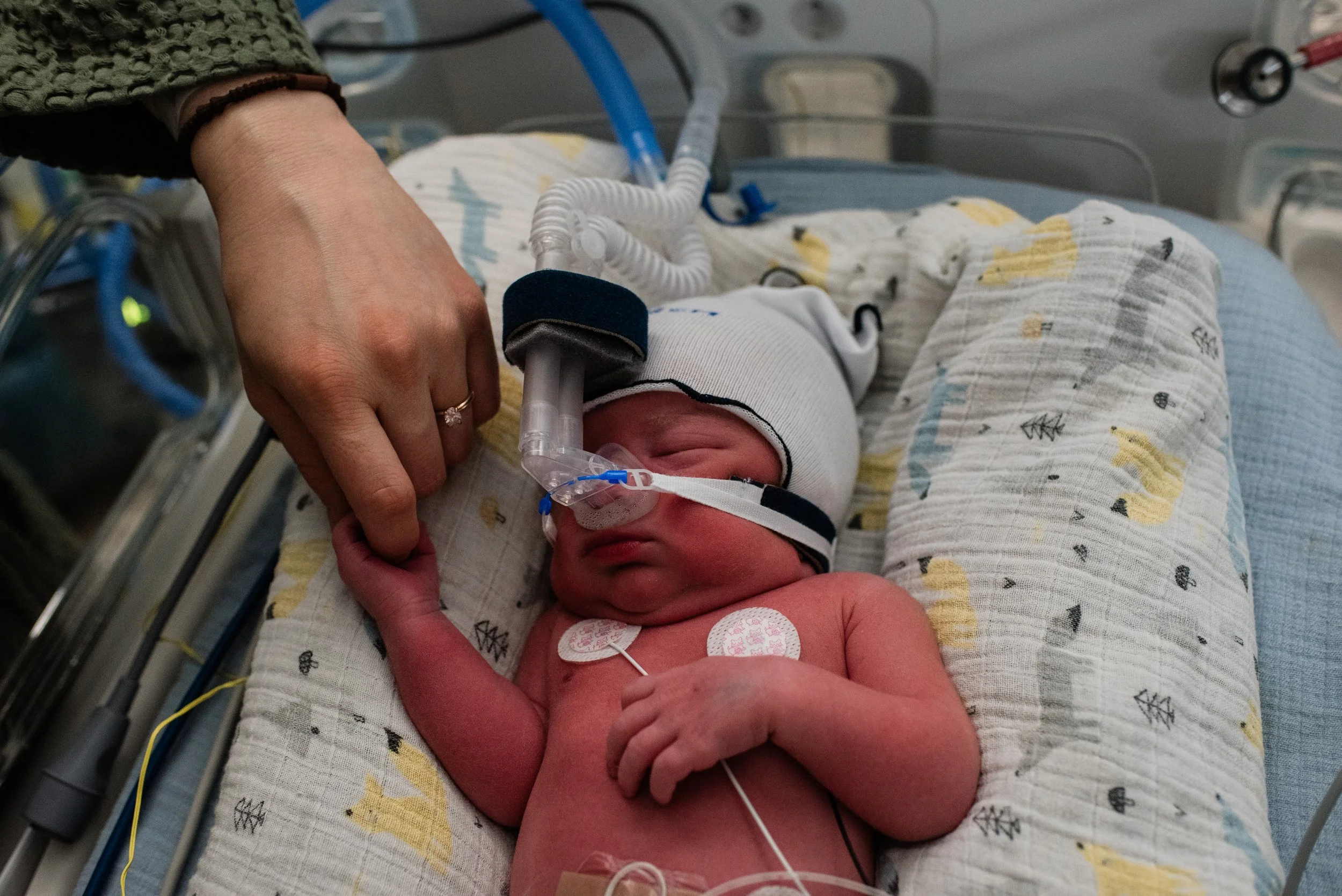 GatherBirthCooperative20260423201459.jpg
