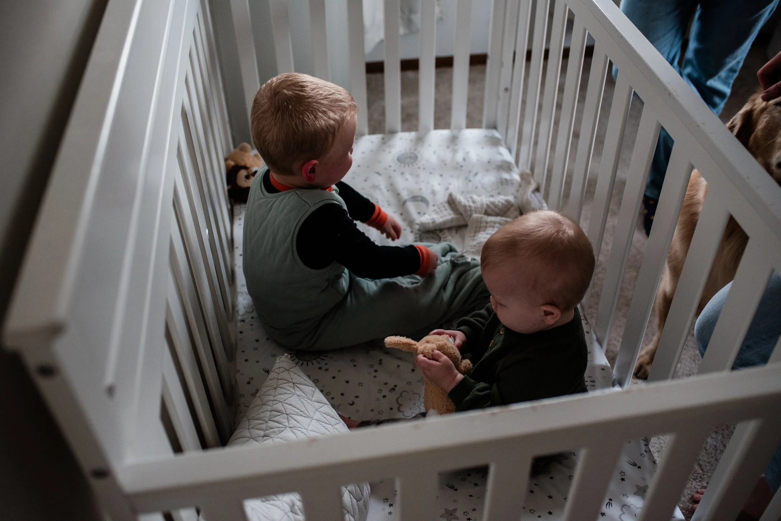 GatherBirthCooperative20251110153929.jpg
