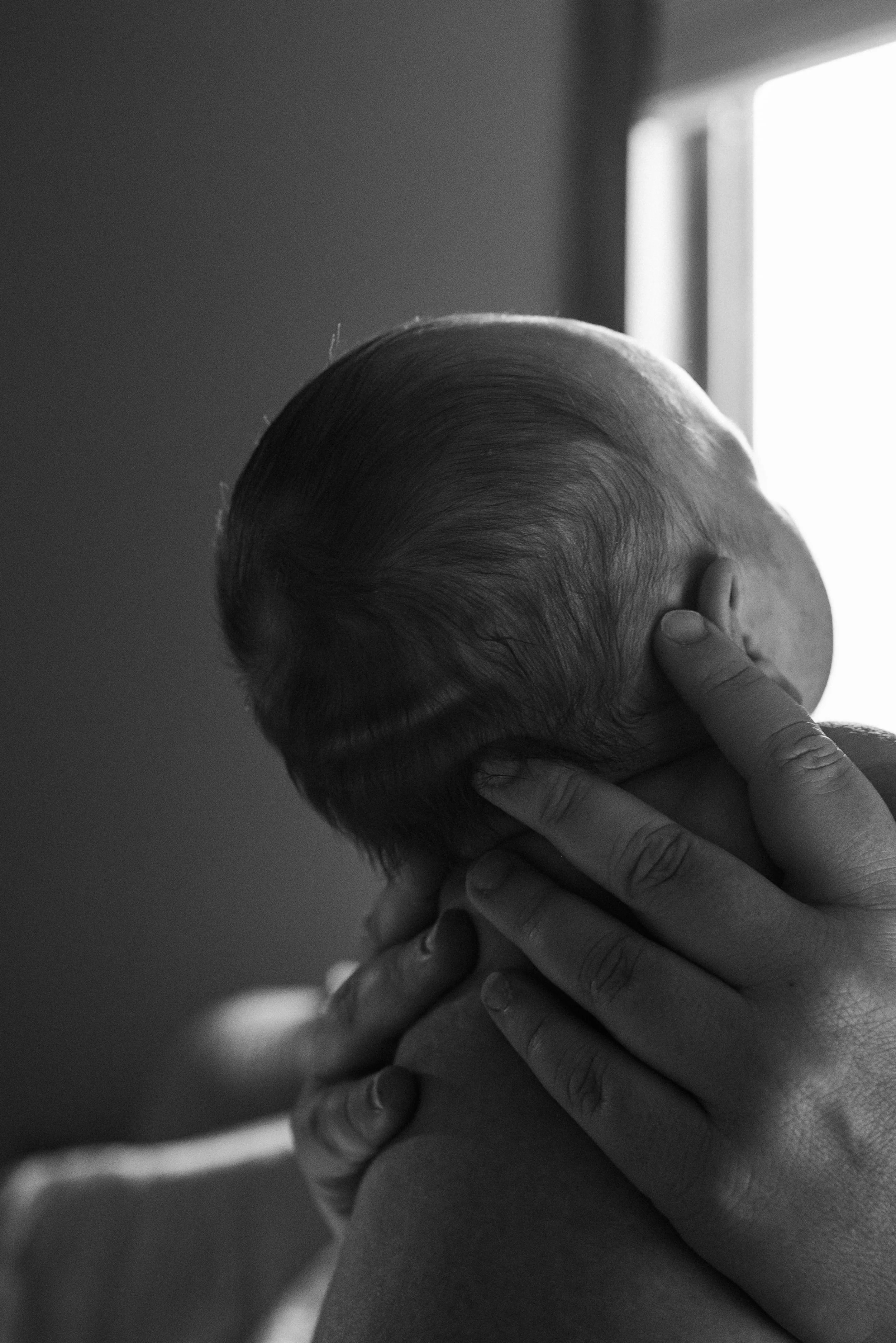 GatherBirthCooperative20260330144348.jpg