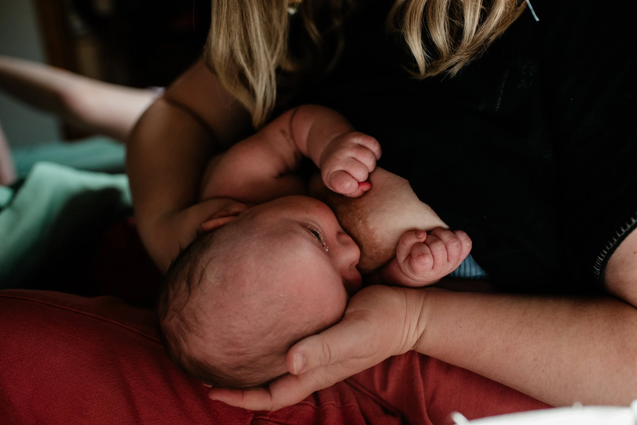 GatherBirthCooperative20260330150918.jpg