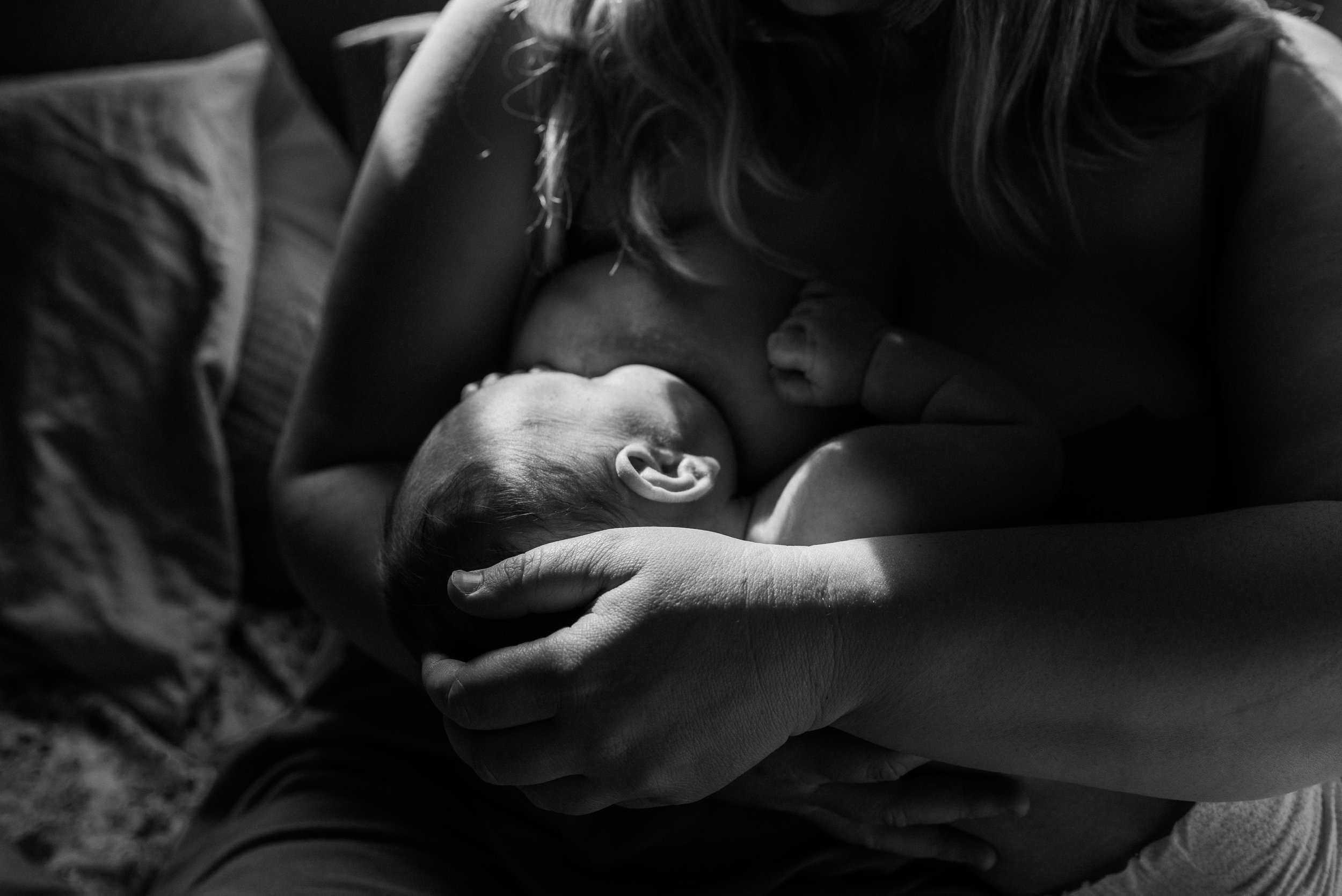 GatherBirthCooperative20260330151303.jpg