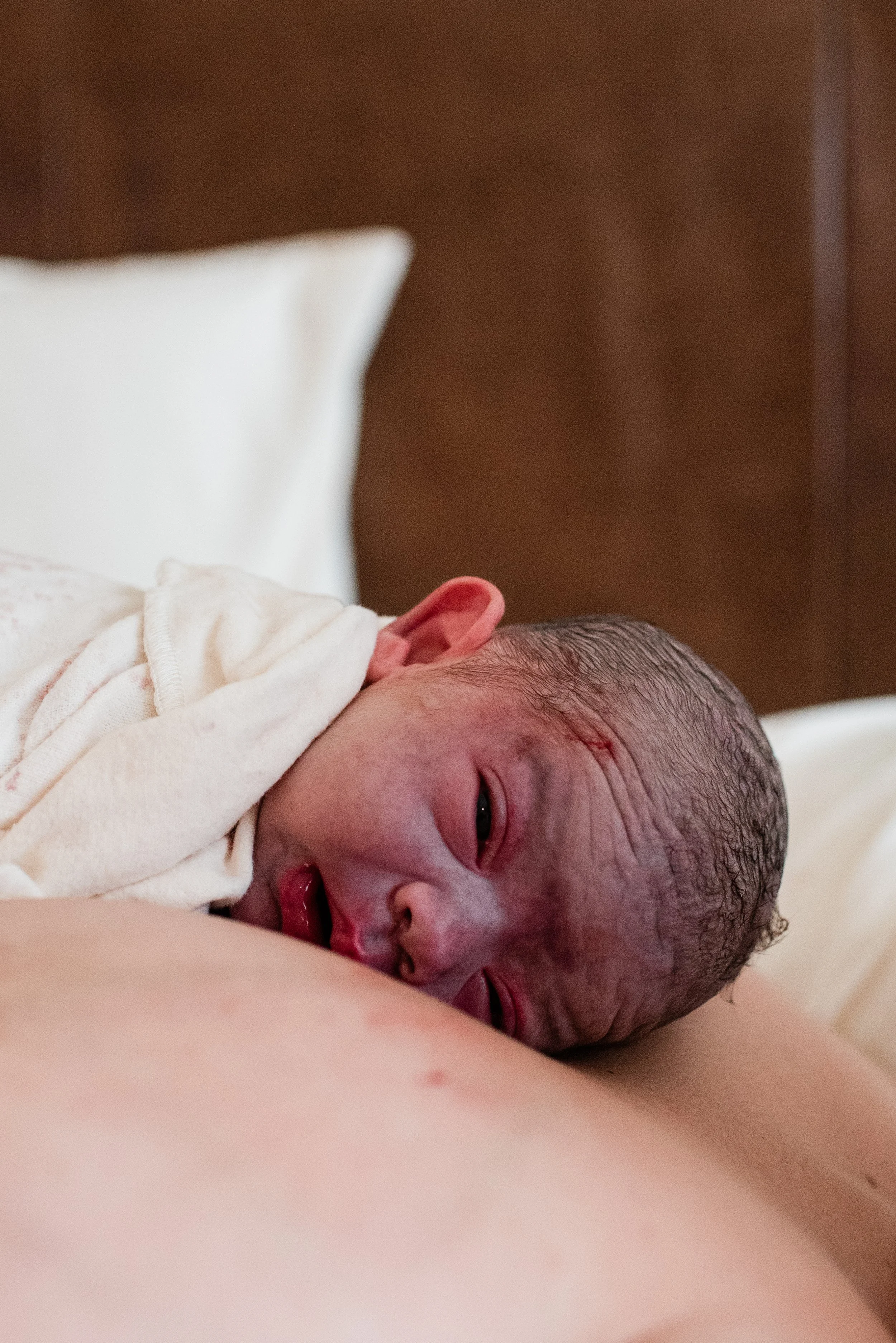 GatherBirthCooperative20260702131446-2.jpg