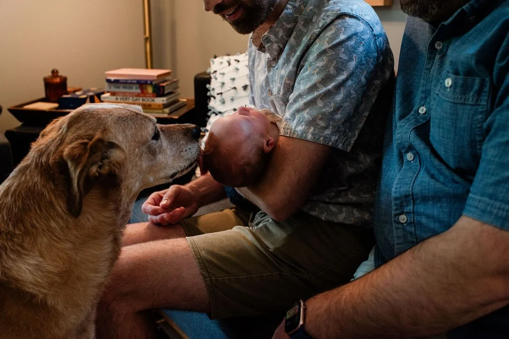GatherBirthCooperative20260822094019.jpg