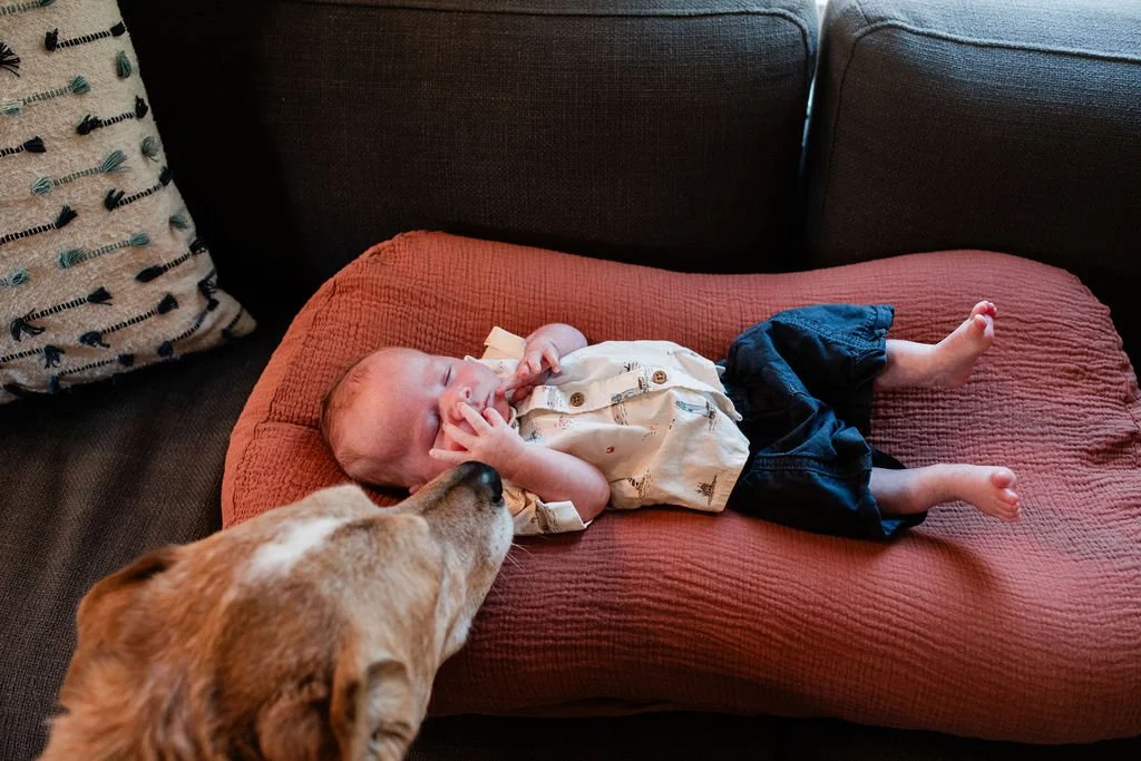 GatherBirthCooperative20260822092109.jpg