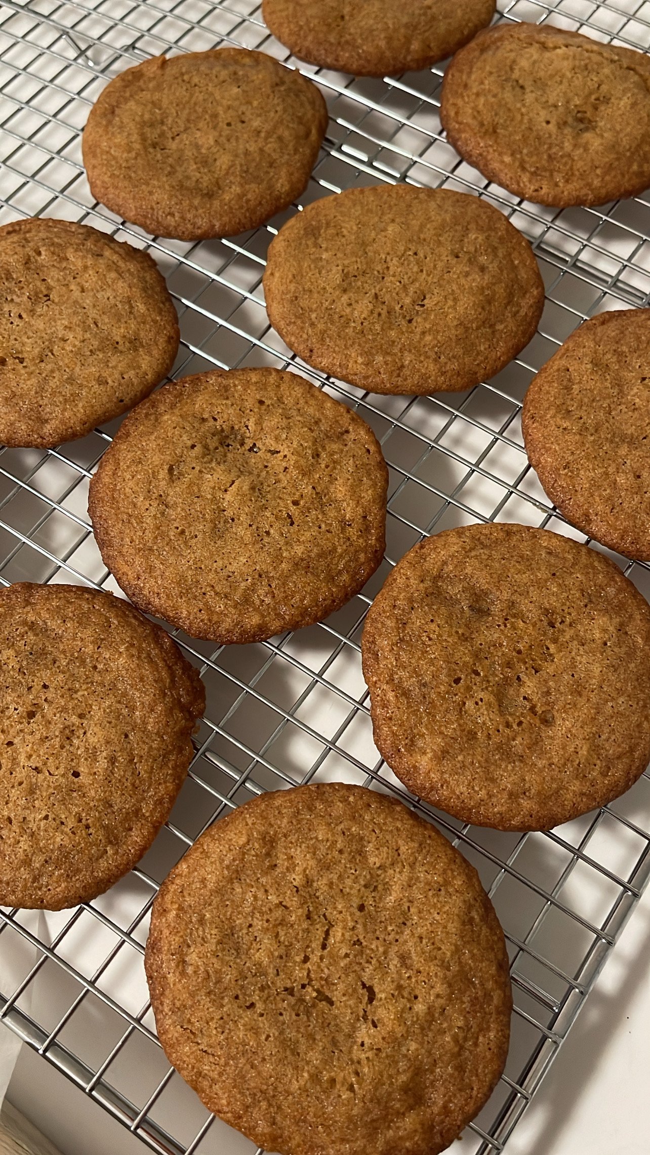 The Pumpkin Spice Dream