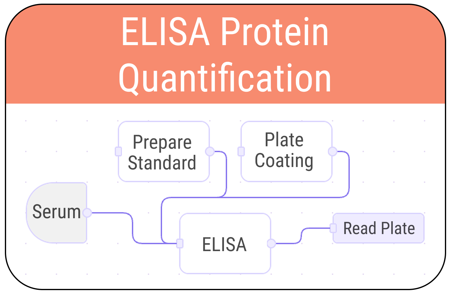 ELISA protein quantification workflow