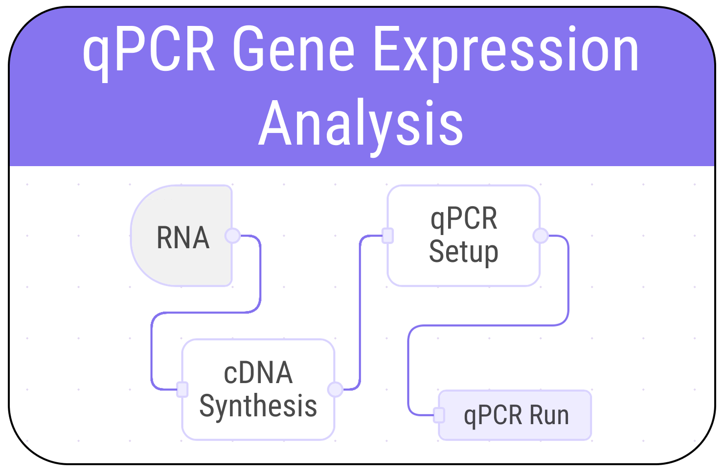 qPCR gene expression analysis workflow
