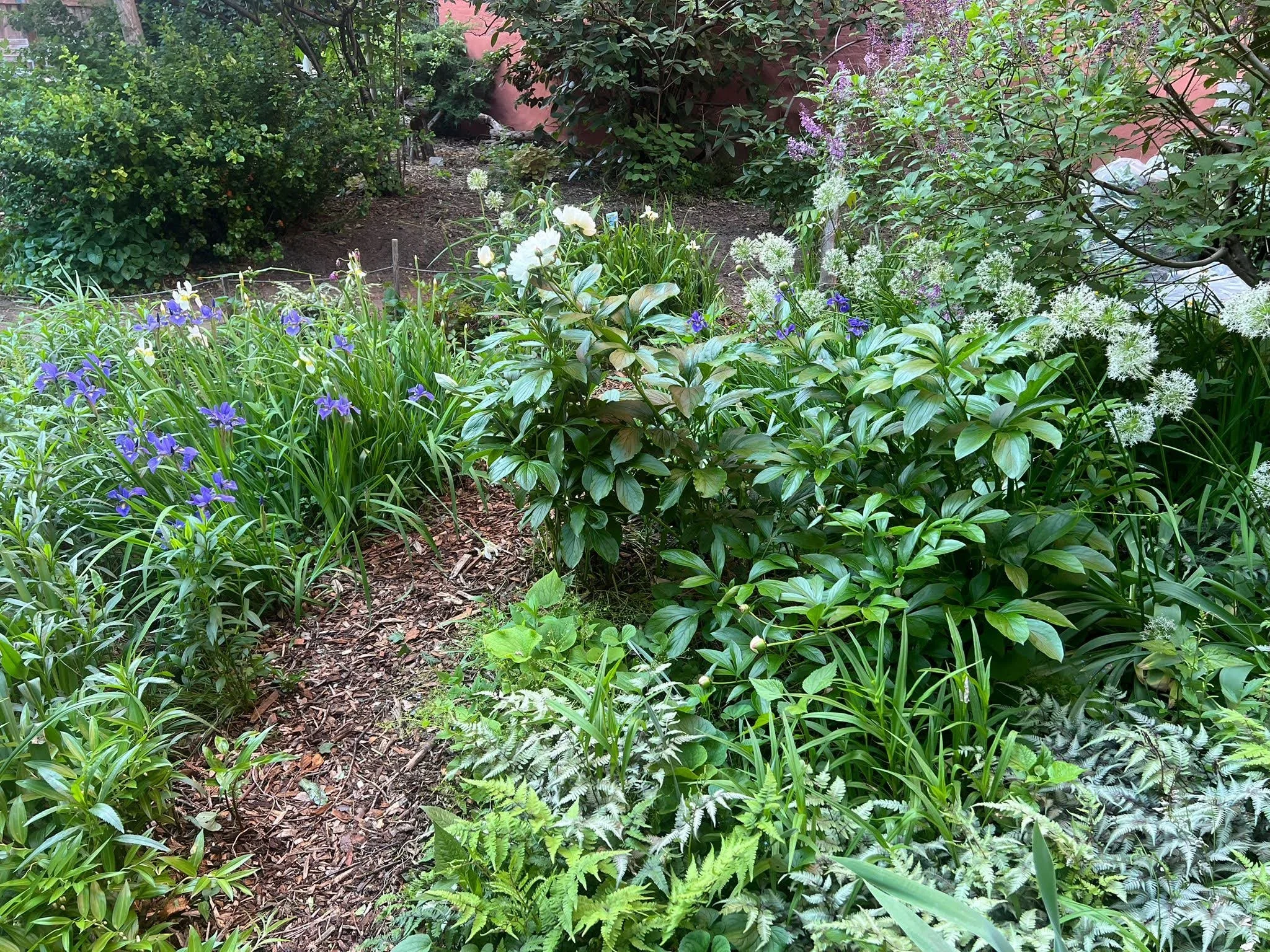 Bloom on the Block - Spring Party