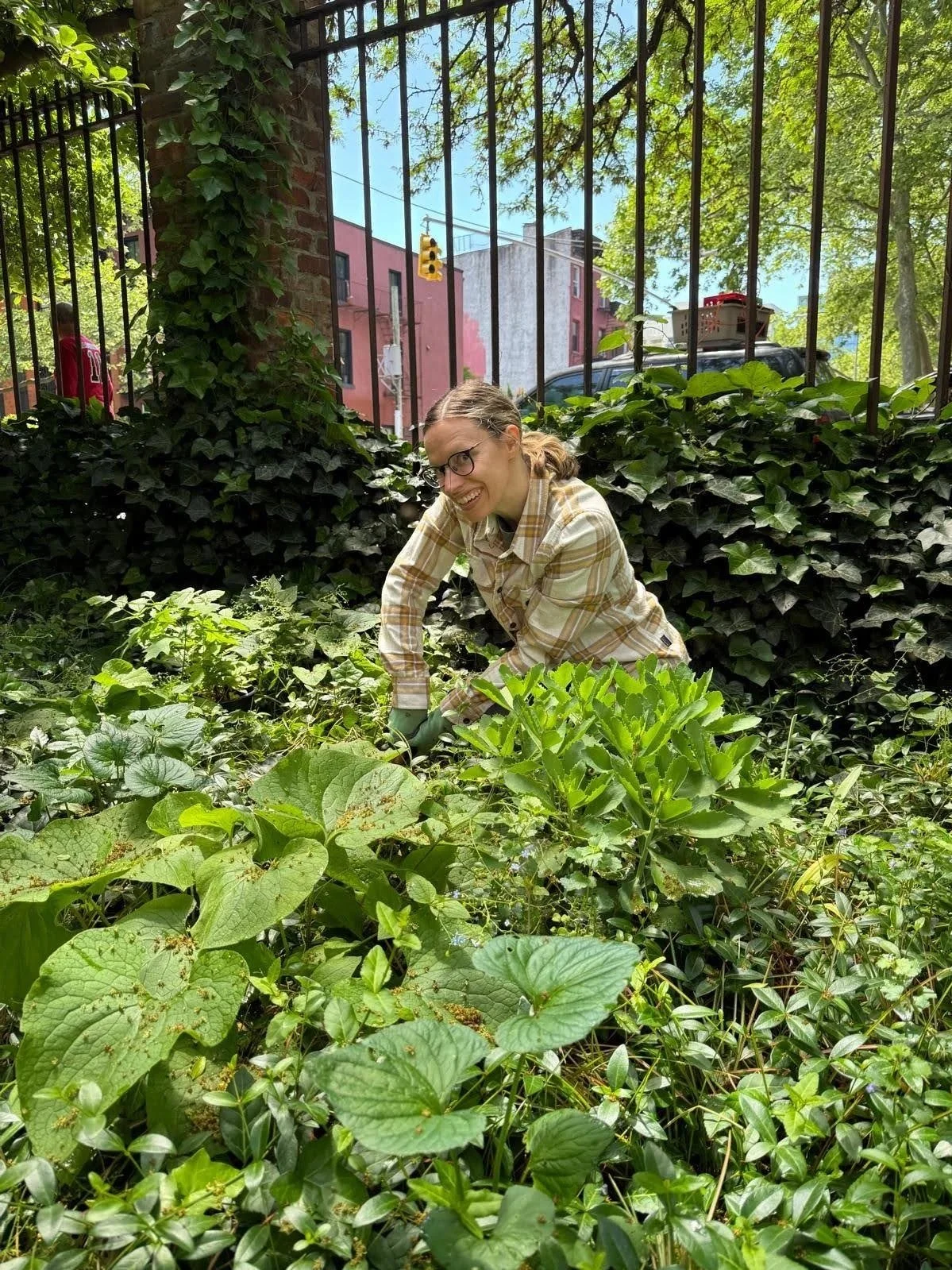 Garden Maintainance