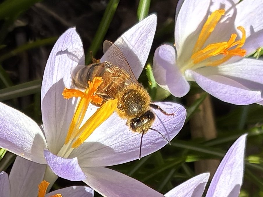 WB Garden's Annual Earth Day Weekend Celebration
