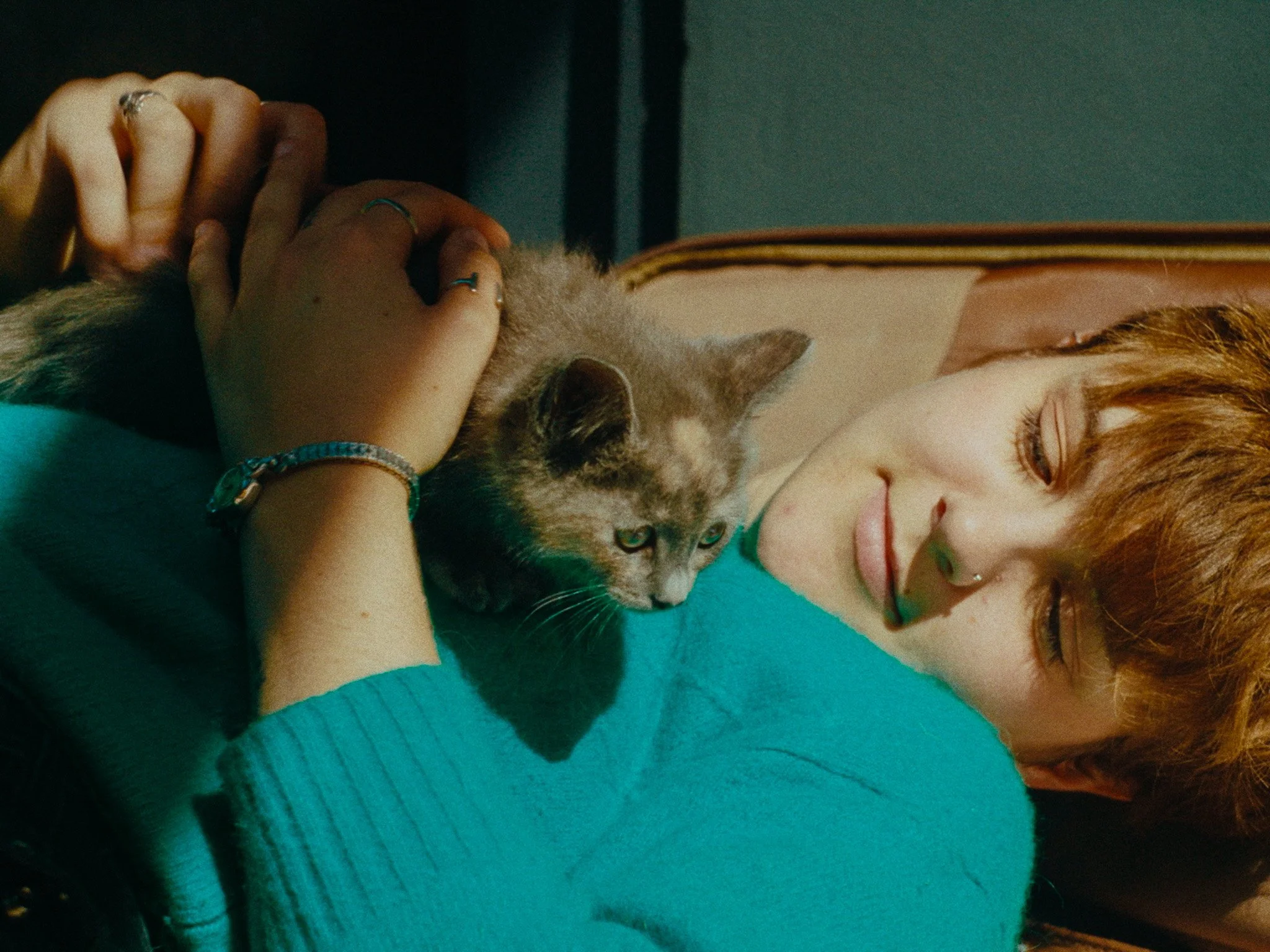 Still 2025-12-12 142318_1.1.11.jpg