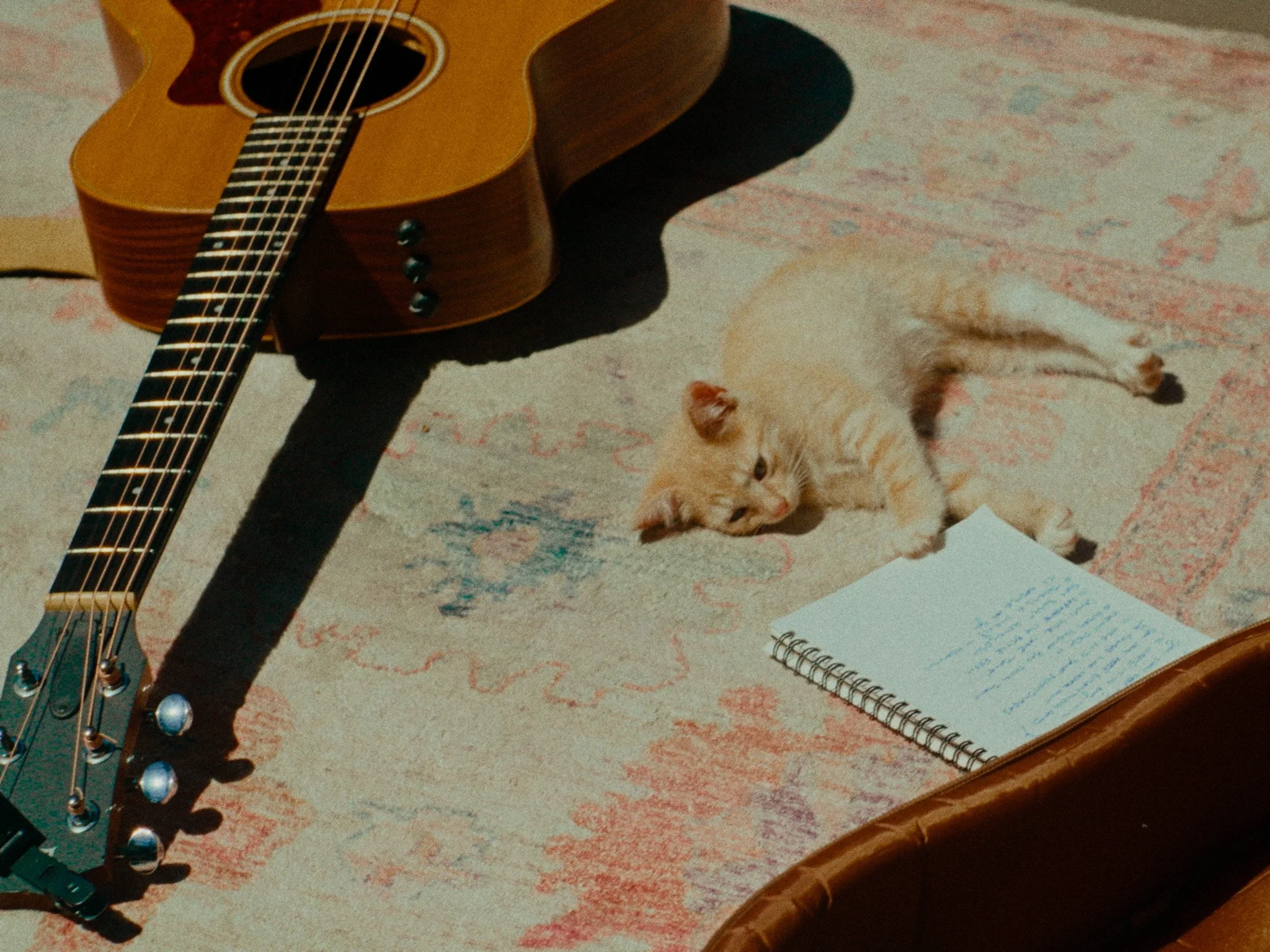 Still 2025-12-12 142154_1.1.8.jpg