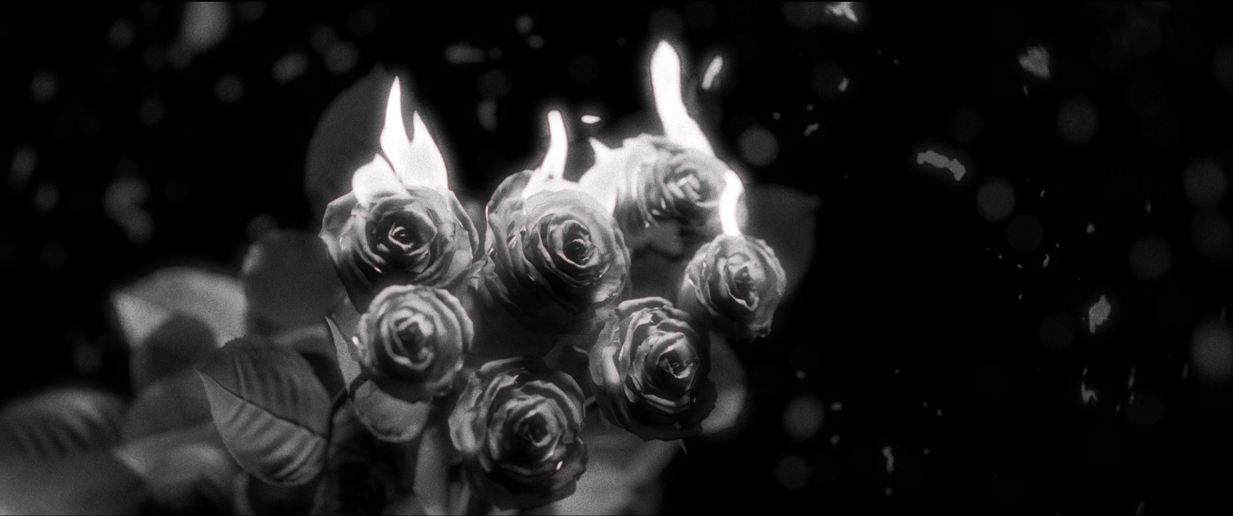 vlcsnap-2024-10-24-12h05m59s250.png