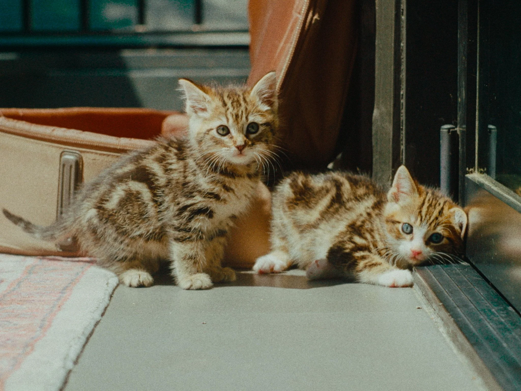 Still 2025-12-12 141839_1.1.3.jpg