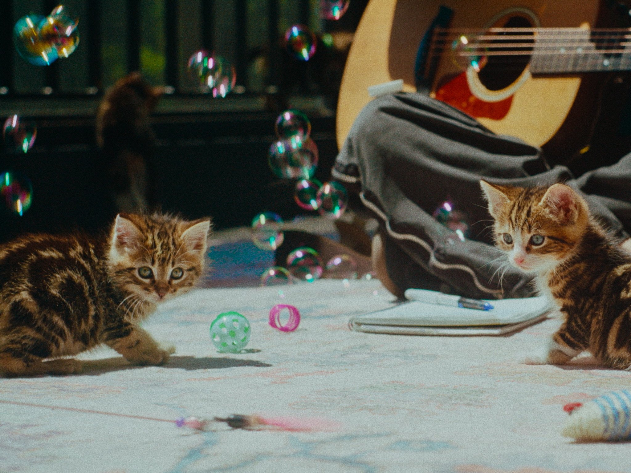 Still 2025-12-12 142427_1.1.14.jpg