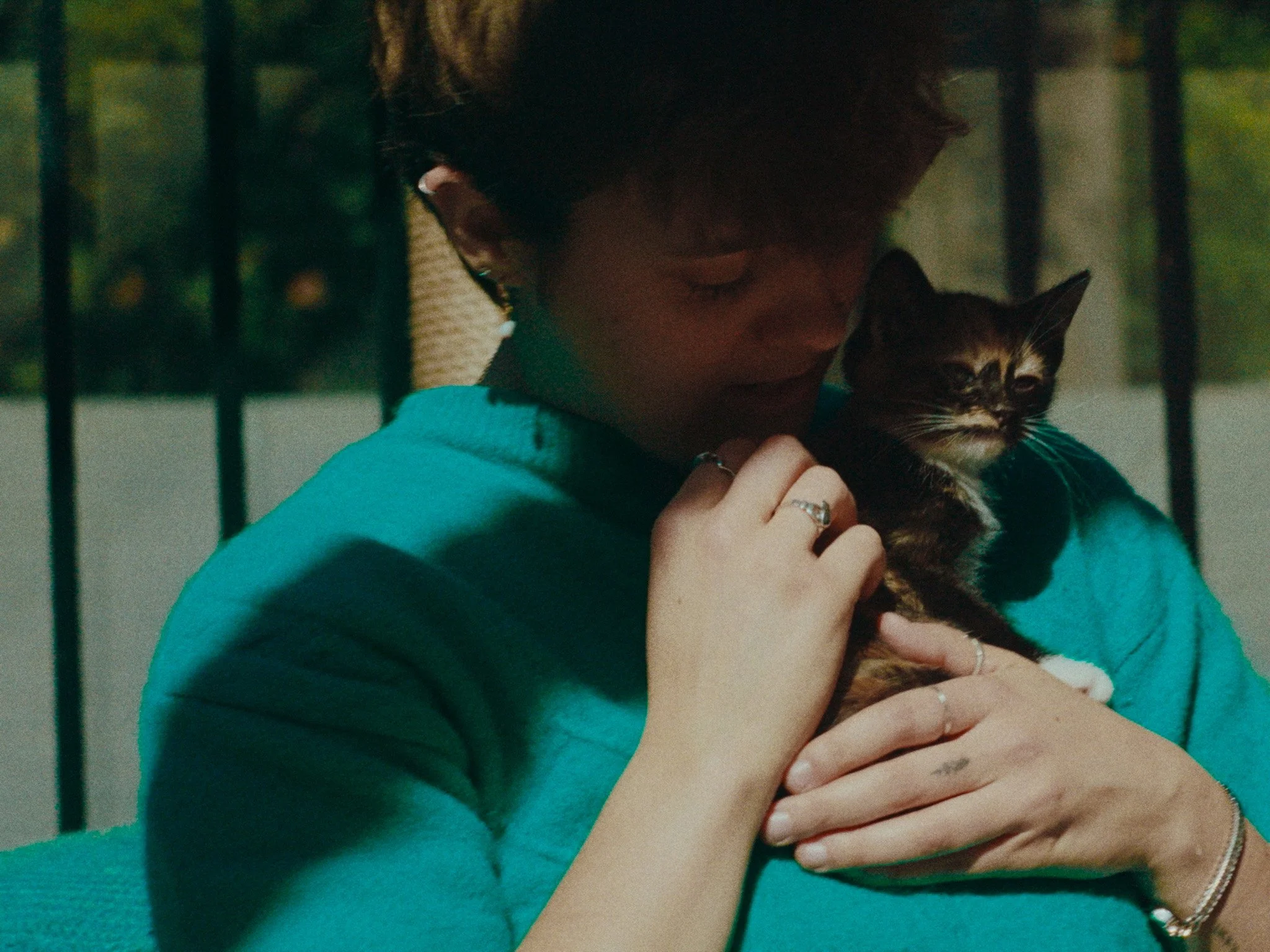 Still 2025-12-12 143142_1.1.24.jpg