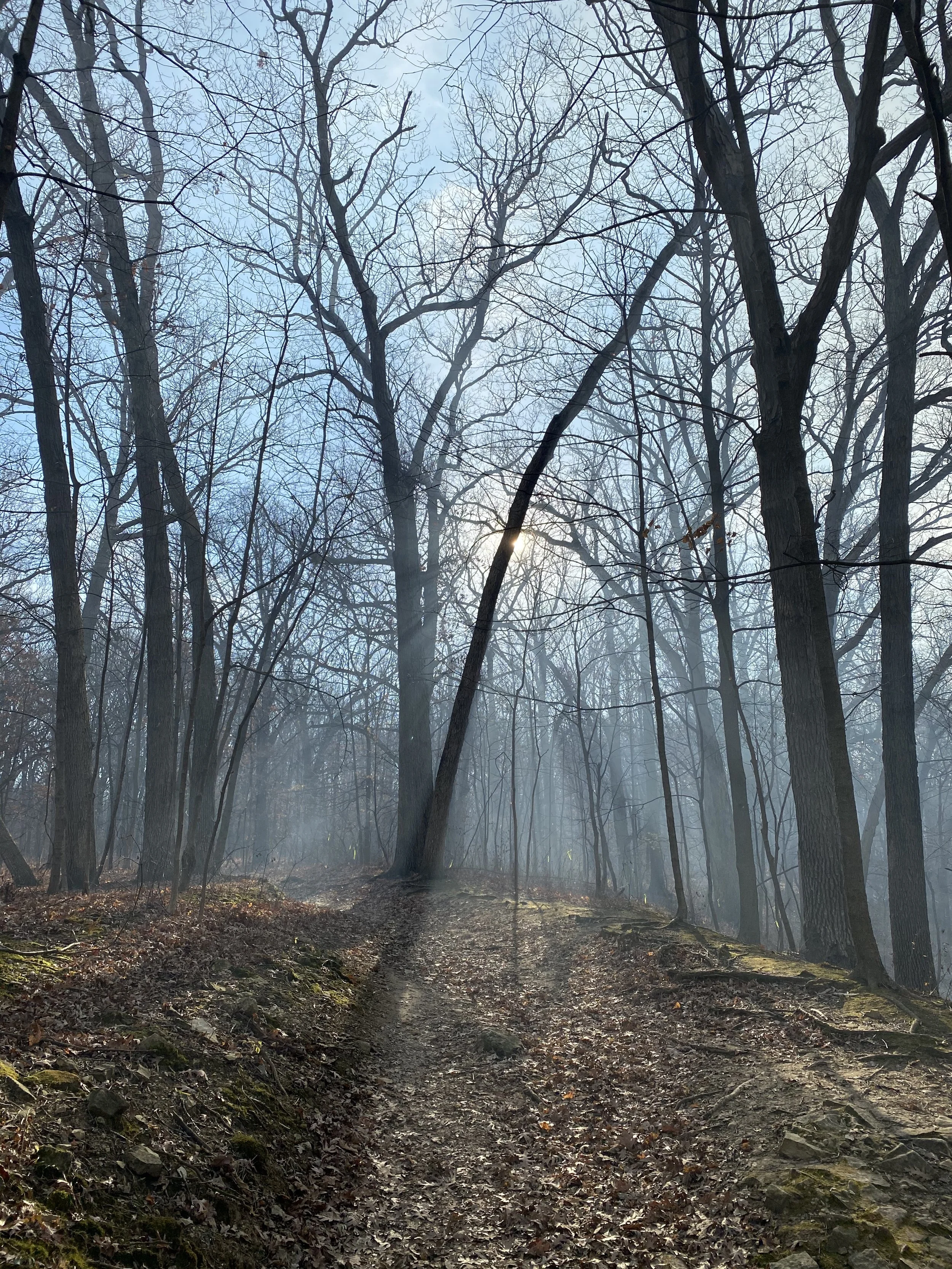 Intentional Wintering: Finding Peace, Purpose, and Presence in Winter