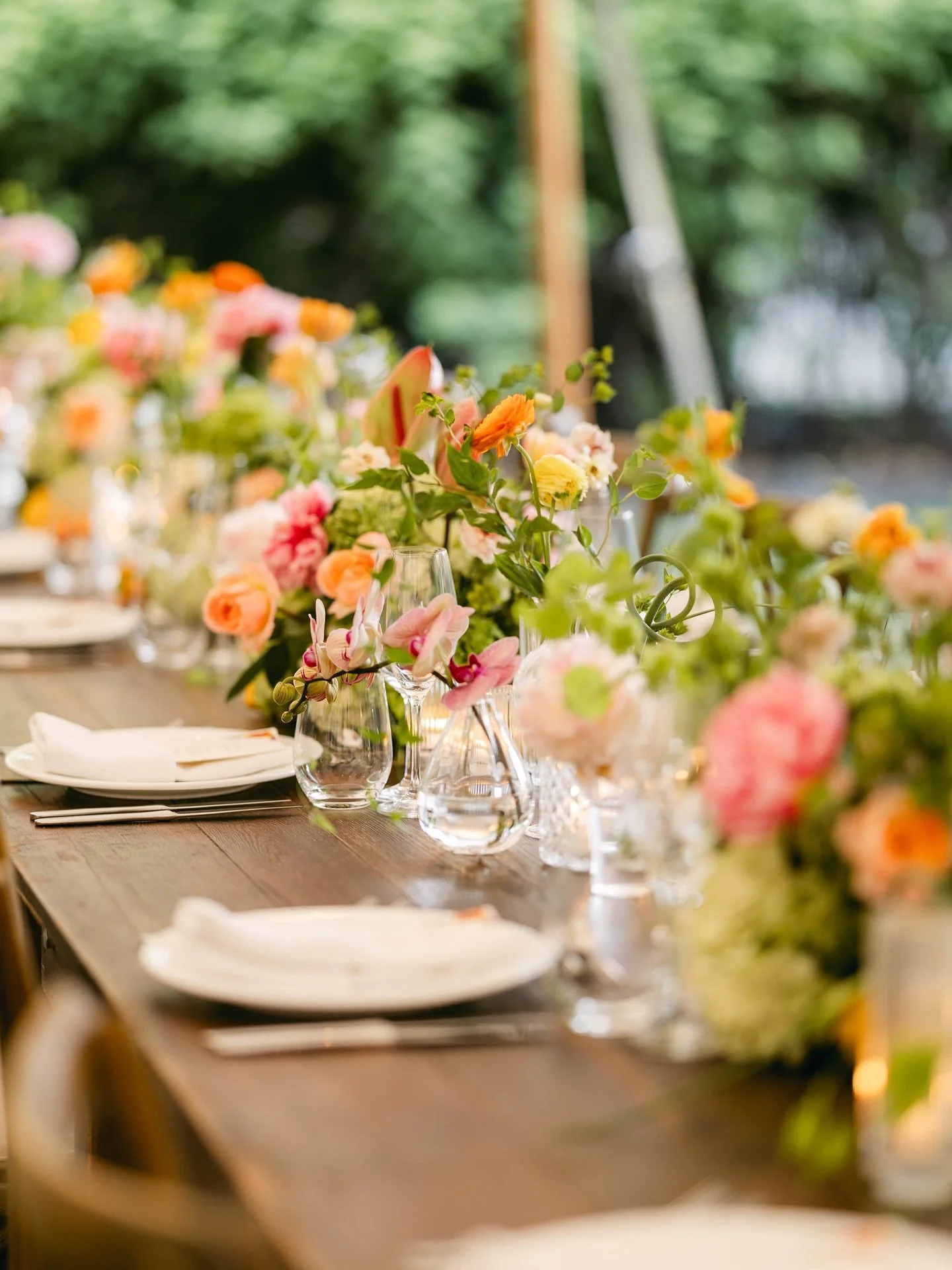 Bright, bold and insanely beautiful 

Planning &amp; Design ♡ @jazdewolfe 
Photography ♡ @515photoco 
Venue ♡ @valleyrockinn 
Floral ♡ @budsofbrooklyn 
Stationery ♡ @paperandposte 
Tent ♡ @sperrytentsnj 

#weddingflorals #weddinginspiration #weddingd