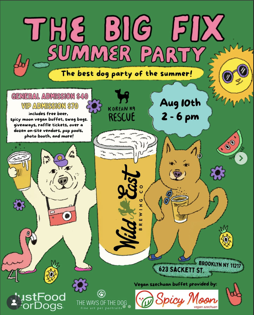 The Big Fix Summer Party