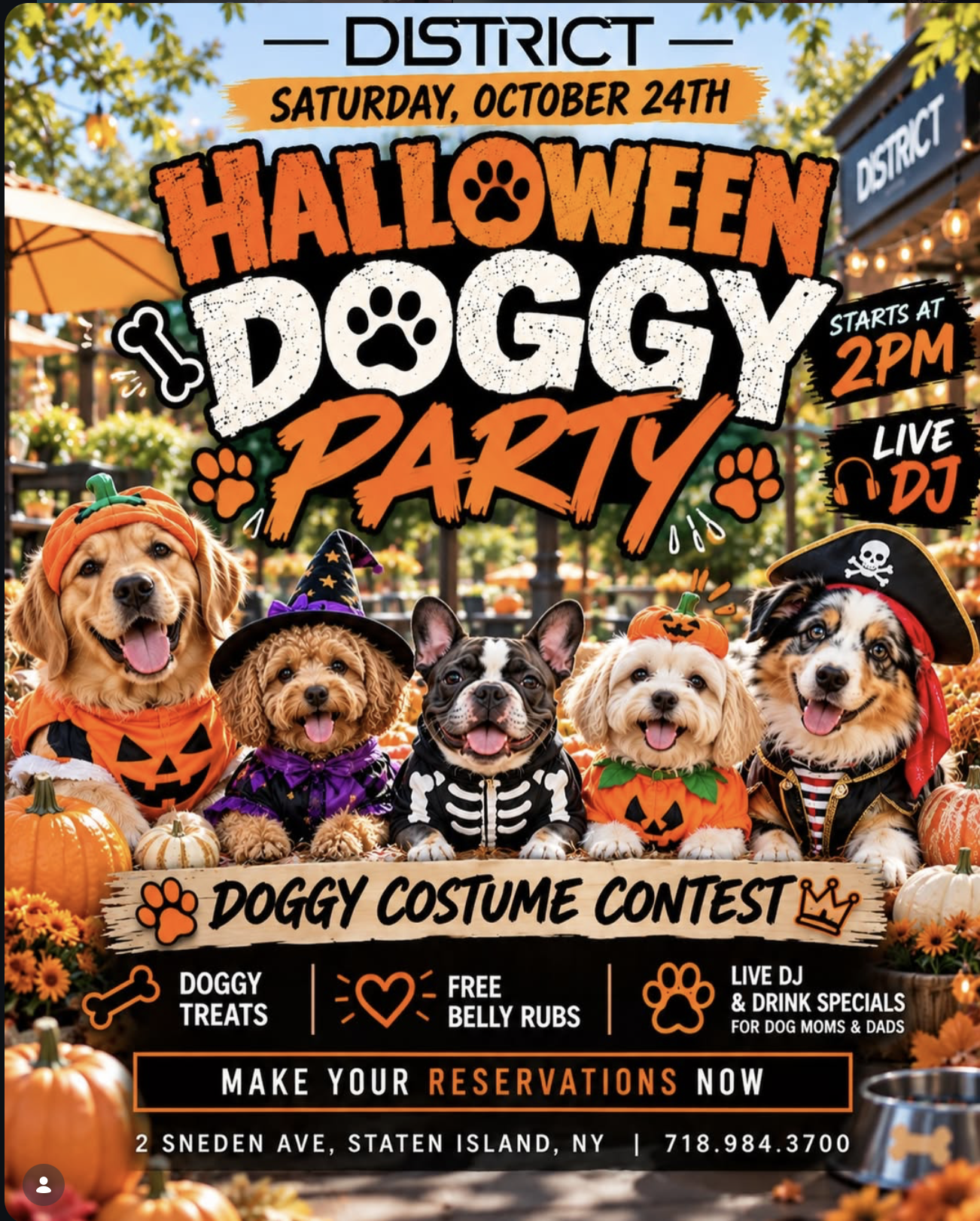 Halloween Doggy Party Flyer