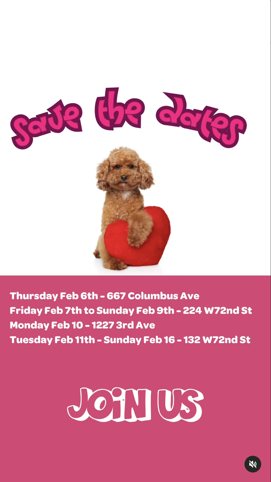 Valentine’s at The Pet Market